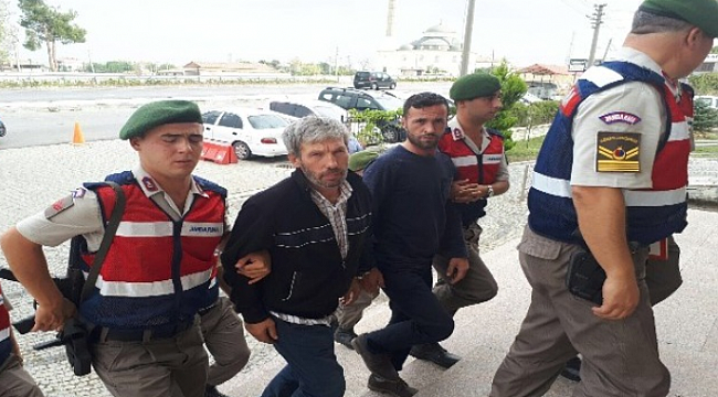 Çanakkale’de hayvan hırsızlığı