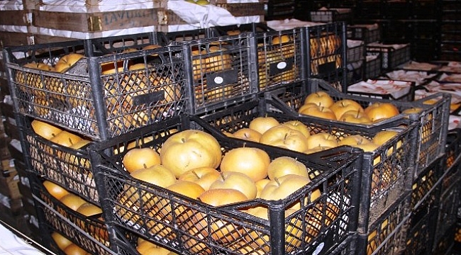 Naşhi, vatandaşların oldukça ilgisini çekiyor.