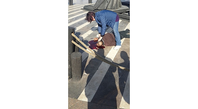 Troia Atı'nın üzerinden düştü