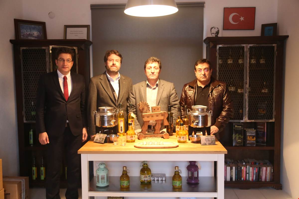 Ayvacık ve Ezine’nin Kaliteli Zeytininde Hasat ve İşleme Zamanı