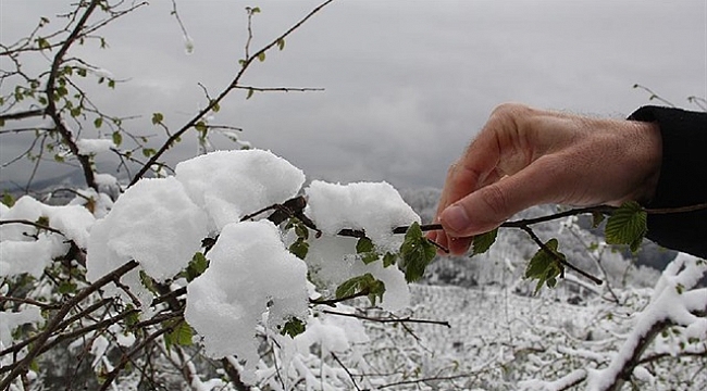 Meteoroloji'den zirai don uyarısı