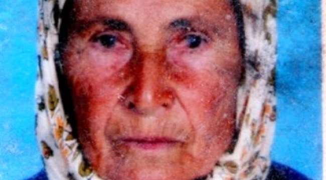 Zeytin Toplarken Sırra Kadem Basan Annesini 70 Gündür Arıyor