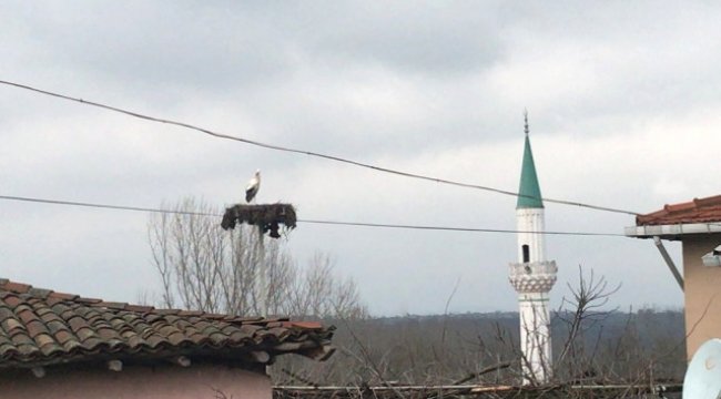Çanakkale&#039;ye İlk Leylek Geldi