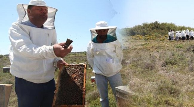 Bozcaada'da Arı Üreticilerine Sertifikaları Törenle Dağıtıldı