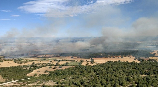Çanakkale'de orman yangını