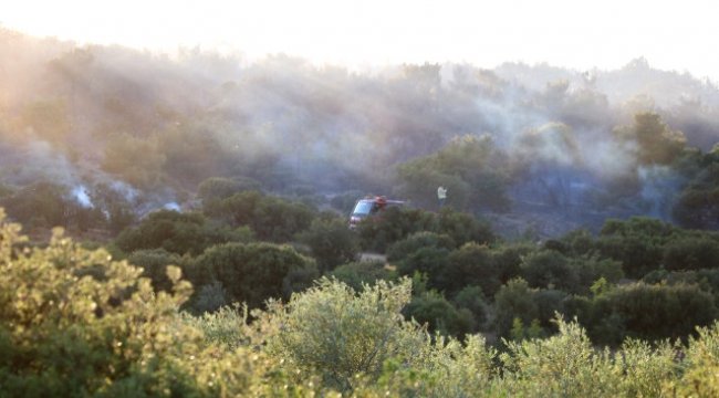 Çanakkale'de Orman Yangınında 50 Hektar Zarar Gördü