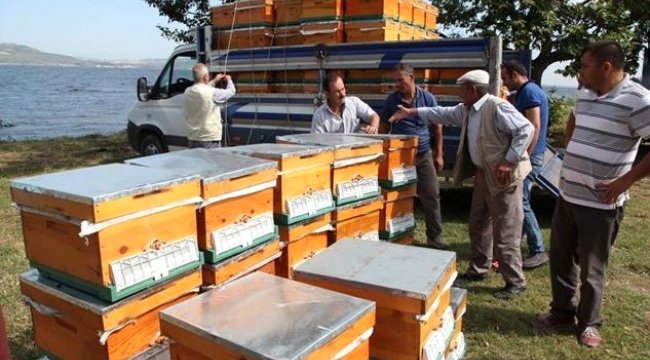 Çanakkale'de Üreticilere Arılı Kovan Dağıtımına Başlandı