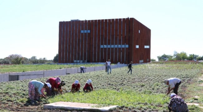 Troya Hazinelerini Bekliyor