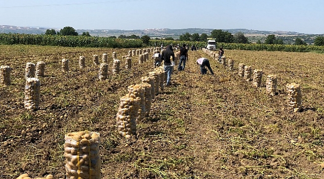 ŞOK’tan patates ve soğanda şok fiyatlar