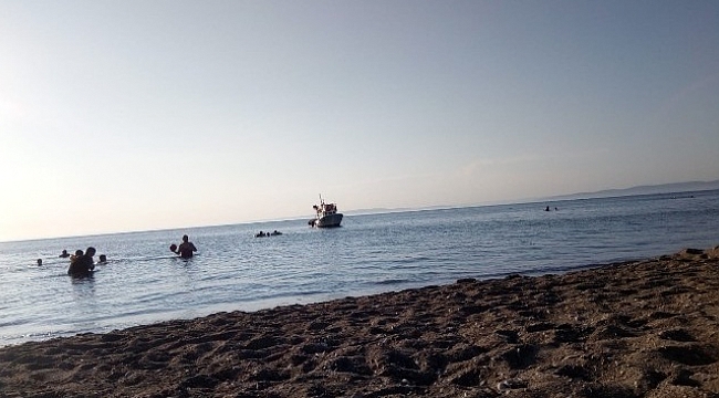 Çanakkale’de korkutan deniz canlısı