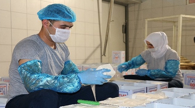 Dünyaca ünlü Ezine peynirinin sırrı ortaya çıktı.