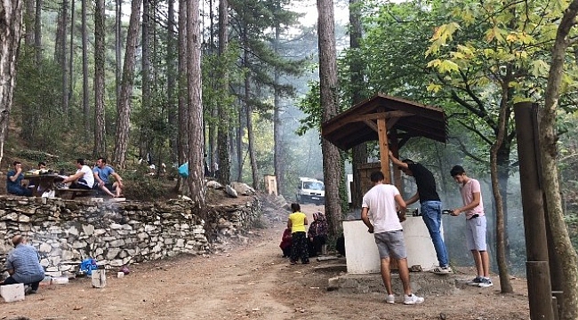 Piknikçiler Kazdağları’na akın etti