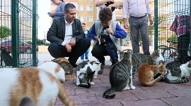 KEDİ KÖYÜ DEĞİL YARI AÇIK CEZAEVİ