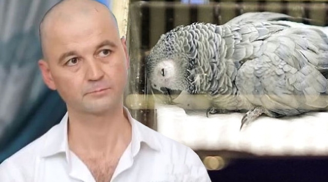 Murat Özdemir'in eziyet ettiği papağan Bahtiyar öldü