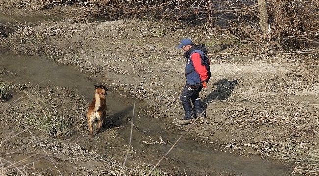 Kayıp genci arama çalışmaları için özel köpek getirildi
