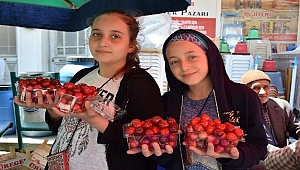 Kirazın kilosu 20 liradan tezgahlardaki yerini aldı.