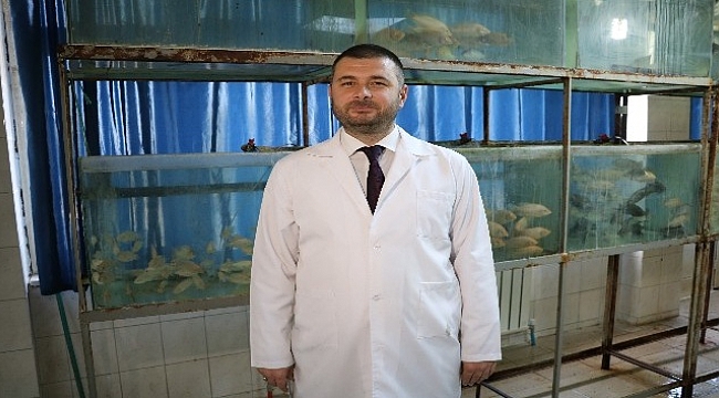 Kur'an-ı Kerim dinletilen balıklar daha hızlı büyüyor