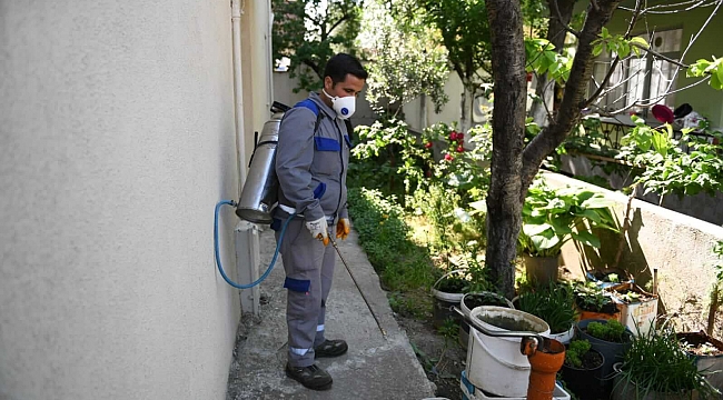 Sivrisineklere Yönelik İlaçlama Çalışmaları Devam Ediyor