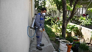 Sivrisineklere Yönelik İlaçlama Çalışmaları Devam Ediyor