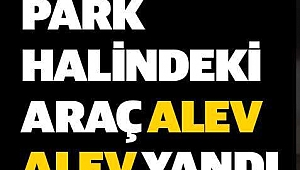 Çanakkale'de araç yangını