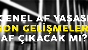 Af yasası ne zaman Meclis'te görüşülecek?.