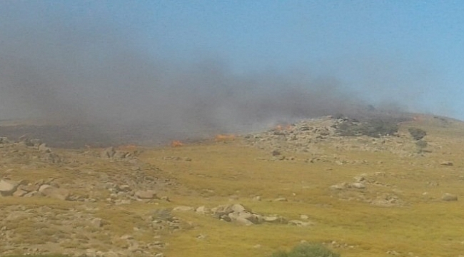 Gökçeada'da korkutan yangın