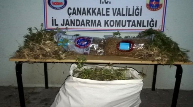Çanakkale'de 'kenevir' operasyonu