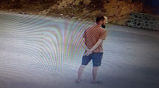 Çanakkale'deki sözde çevrecilerin hırsızlık anları kameraya yansıdı