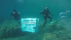 Güney Marmara’nın Sualtı Potansiyeli Değerlendirildi