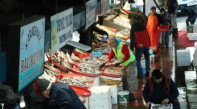 Soğuyan havalar Marmara balıkçısını umutlandırdı
