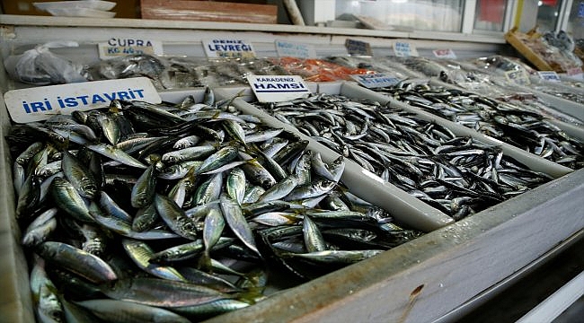 Balıkçılar yeni yılda "hamsi" sevinci yaşıyor