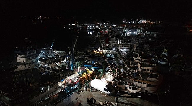 Karadeniz'de hamsi bereketi