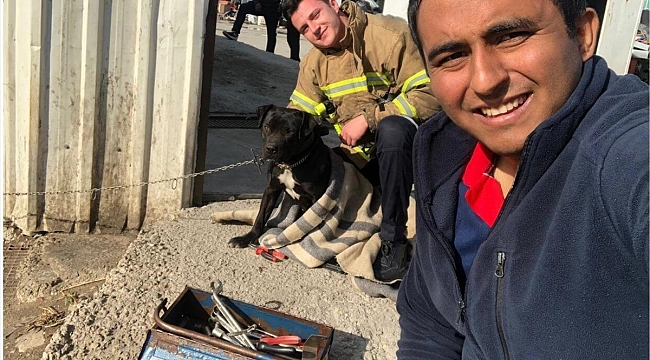Ağzına konserve kutusu sıkışan köpeği itfaiye ekibi kurtardı