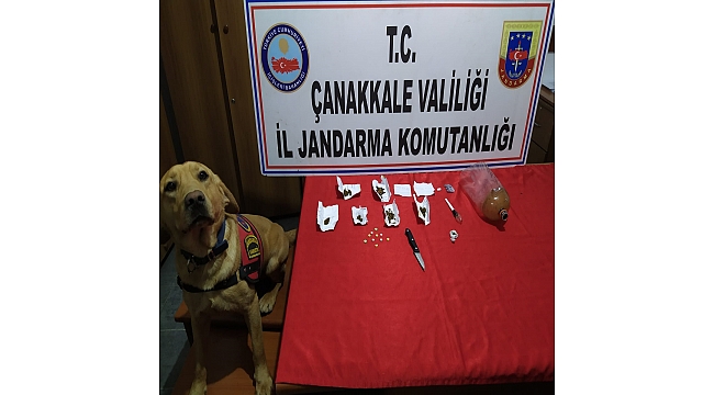 Çanakkale İl Jandarma Komutanlığı'ndan 'Uyuşturucu Madde İmal  Ve Ticareti' Operasyonu