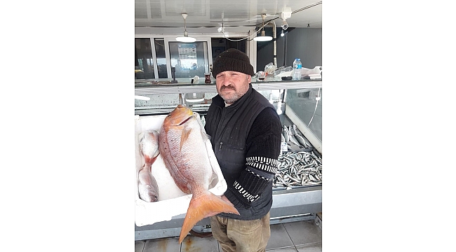 Gelibolulu balıkçı oltayla 8,5 kilogramlık sinarit avladı