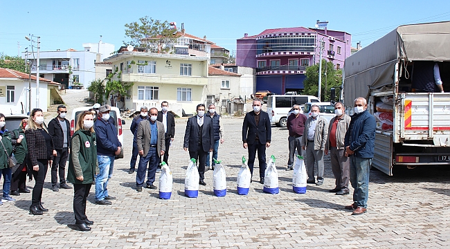 Sertifikalı Horoz Cinsi Kuru Fasulye tohum dağıtımı bugün yapıldı.