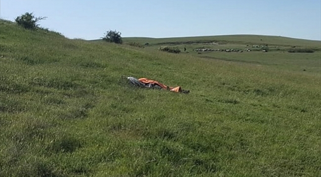 Tekirdağ'da arıların saldırdığı kişi öldü