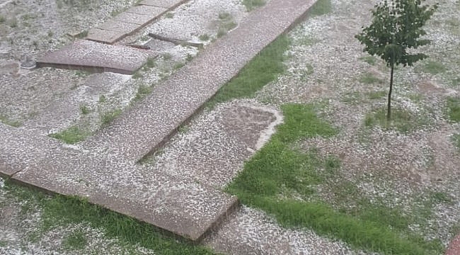 Biga'da tarım arazileri şiddetli dolu nedeniyle zarar gördü