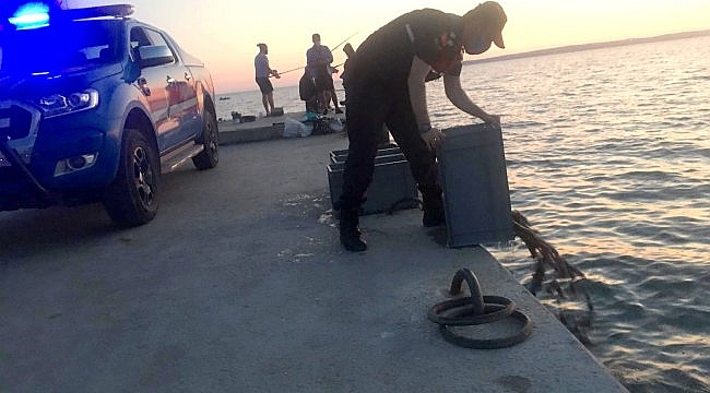 Çanakkale'de deniz patlıcanı operasyonu