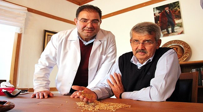 Cumhuriyetin 100'üncü yılına 2 bin yıllık "Ahmet Buğdayı" tohumu
