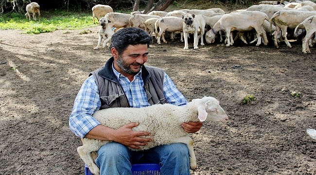 Doğa ve hayvan sevgisiyle 40 yıldır çobanlık yapıyor