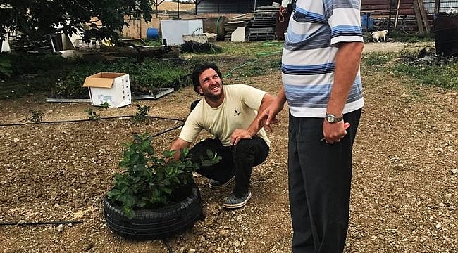 Gelibolulu üretici "süper meyve" yetiştiriyor