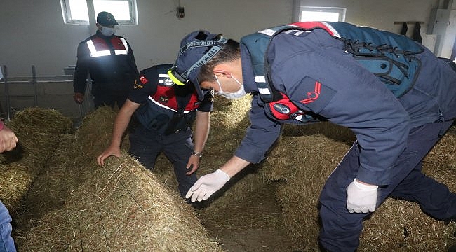 Havadan uçakla ağaçlık alana uyuşturucu atılmasıyla ilgili 9 zanlı yakalandı