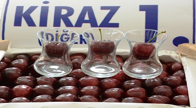 Lapseki'de geleneksel kiraz festivaline koronavirüs engeli