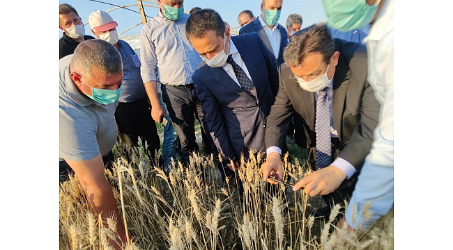 Vali Aktaş dolunun zarar verdiği bölgeleri ziyaret etti