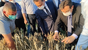 Vali Aktaş dolunun zarar verdiği bölgeleri ziyaret etti