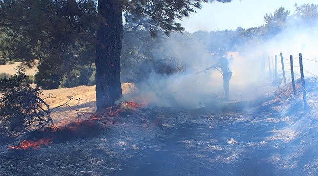 Bayramiç'te anız yangını ormana sıçramadan söndürüldü