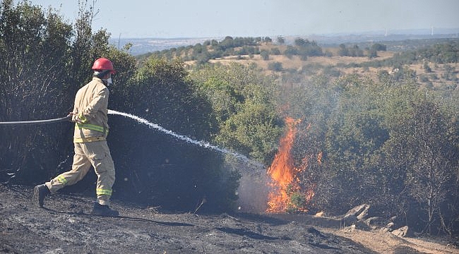 Çanakkale'de makilik alanda yangın