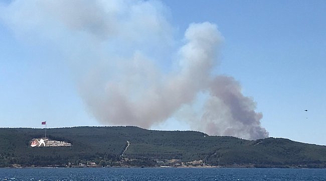 Çanakkale'de orman yangını