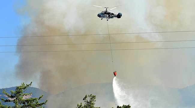 Çanakkale'de orman yangını çıktı